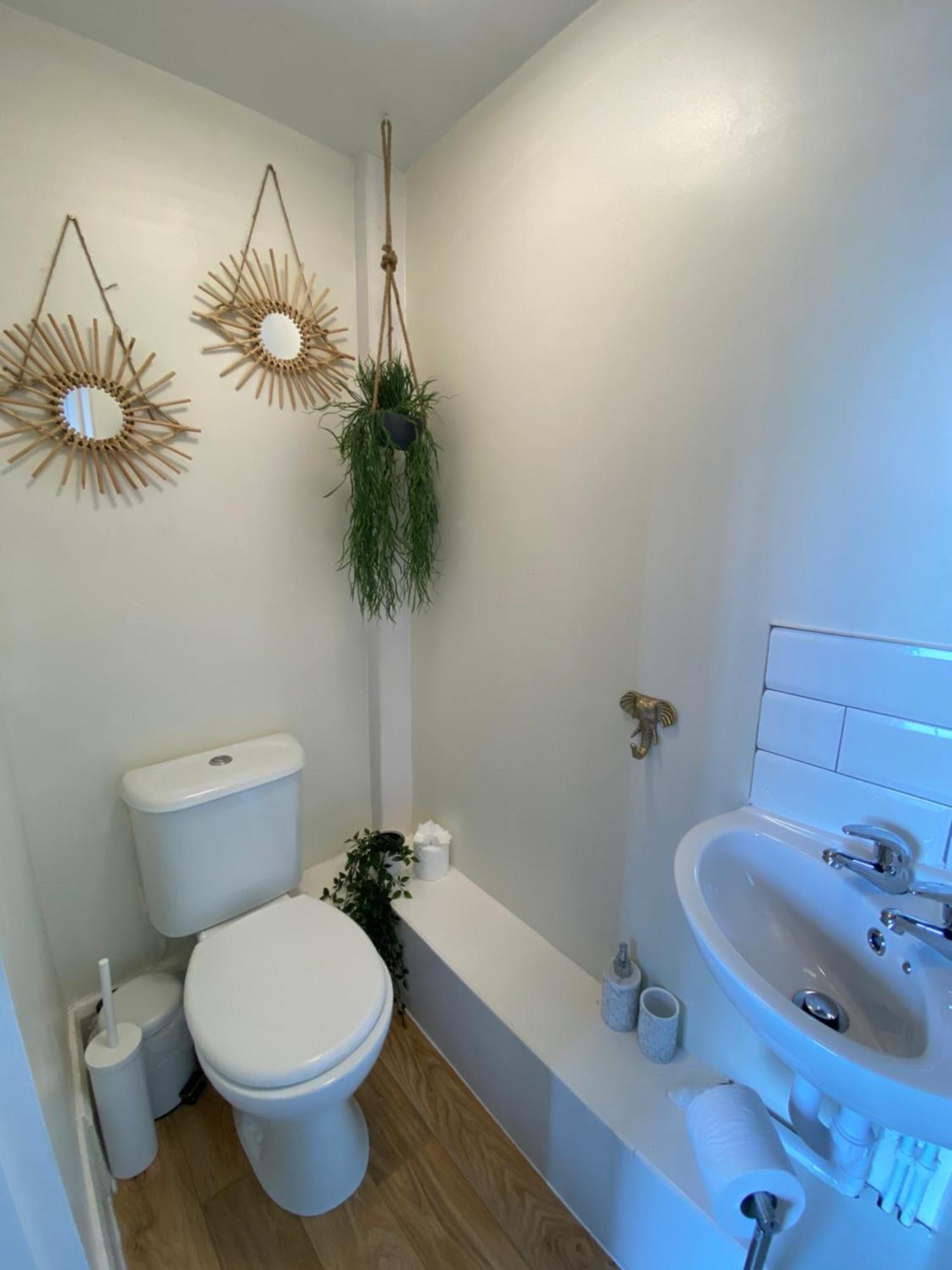 بورثكول Butterfly Guest House المظهر الخارجي الصورة